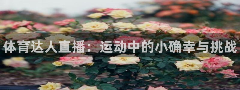 袋鼠体育nba直播：体育达人直播：运动中的小确幸与挑战