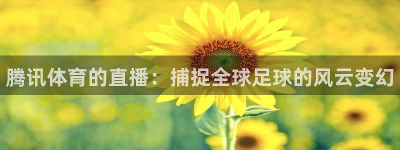 袋鼠体育直播nba：腾讯体育的直播：捕捉全球足球的风云变幻