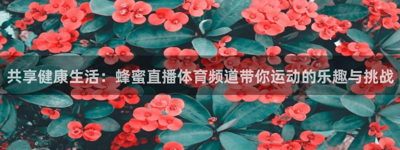 袋鼠直播足球：共享健康生活：蜂蜜直播体育频道带你运动的乐趣与挑战