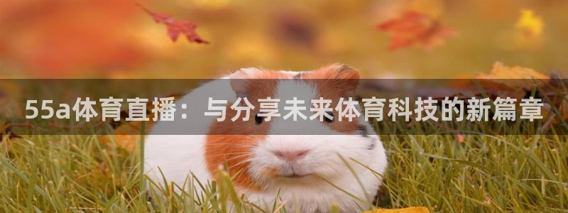 袋鼠体育直播在线观看：55a体育直播：与分享未来体育科技的新篇章