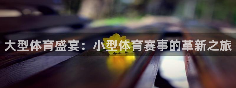 袋鼠直播体育免费观看入口：大型体育盛宴：小型体育赛事的革新之旅