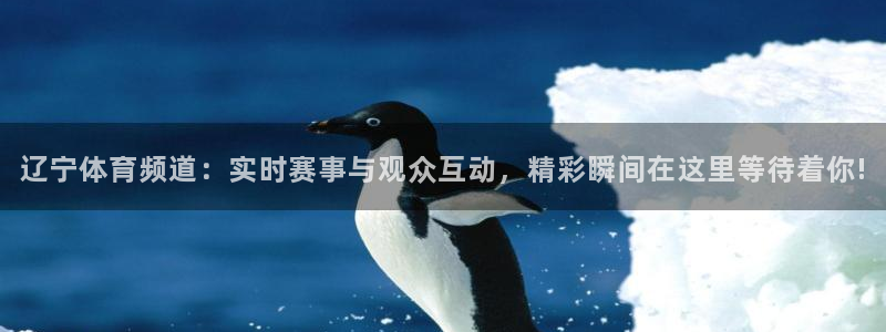 袋鼠直播体育在线观看边看边玩1.新通道.top：辽宁体育频道：实时赛事与观众互动，精彩瞬间在这里等待着你!