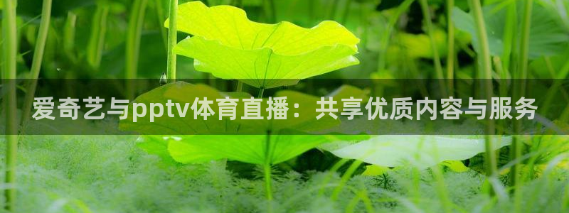 袋鼠直播体育免费观看：爱奇艺与pptv体育直播：共享优质内容与服务