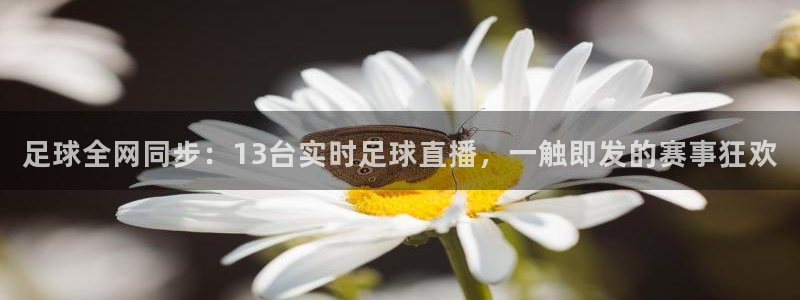 袋鼠体育直播：足球全网同步：13台实时足球直播，一触即发的赛事狂欢