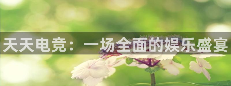 袋鼠在线直播体育：天天电竞：一场全面的娱乐盛宴