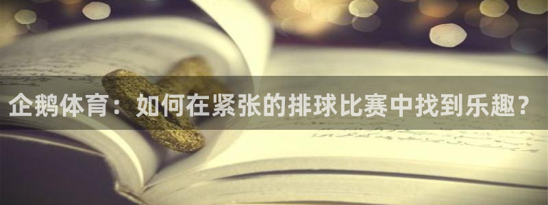 袋鼠直播看球：企鹅体育：如何在紧张的排球比赛中找到乐趣？