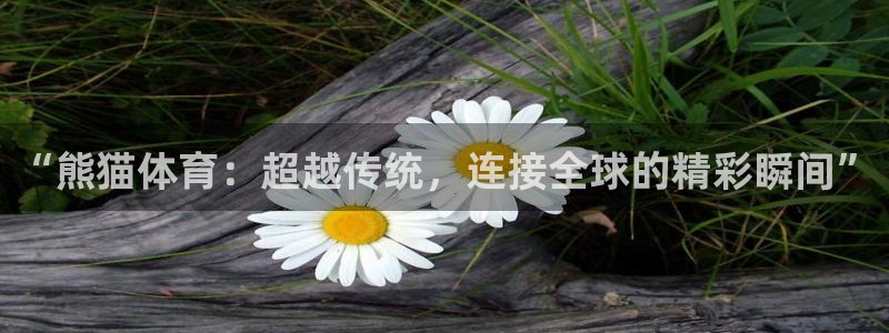 袋鼠在线直播体育：“熊猫体育：超越传统，连接全球的精彩瞬间”