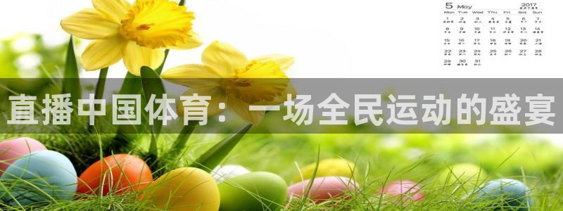 袋鼠体育直播nba：直播中国体育：一场全民运动的盛宴