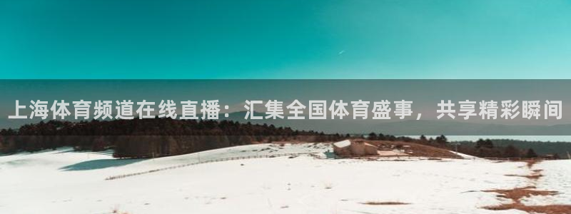 袋鼠直播体育在线：上海体育频道在线直播：汇集全国体育盛事，共享精彩瞬间