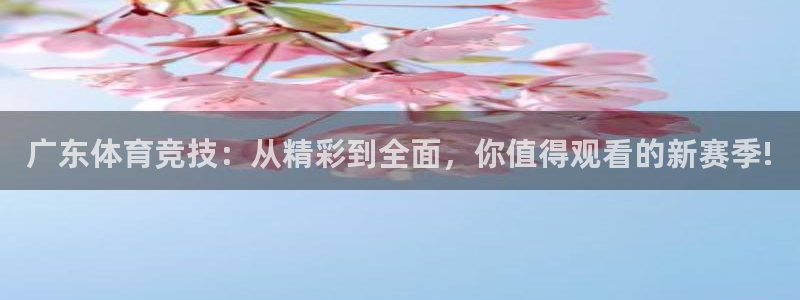 袋鼠nba体育直播：广东体育竞技：从精彩到全面，你值得观看的新赛季!